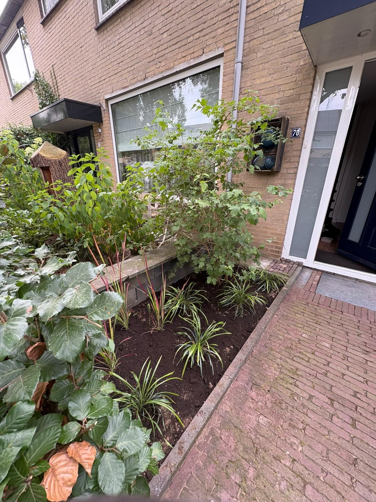 Plantvak met siergrassen bij voordeur aangelegd door Franke Tuinen