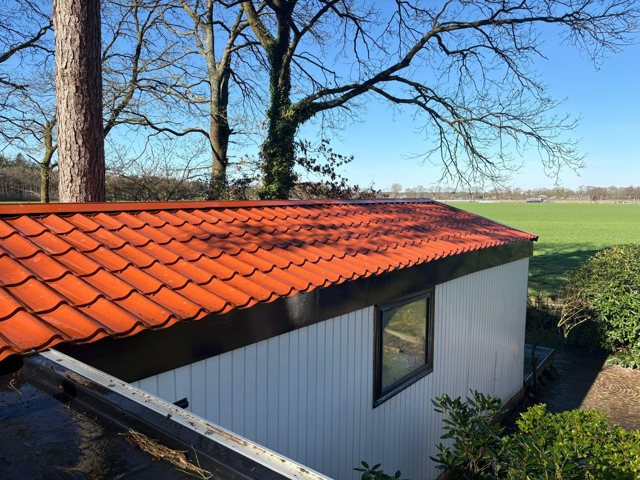 Dak na reiniging — volledig schoon overzicht