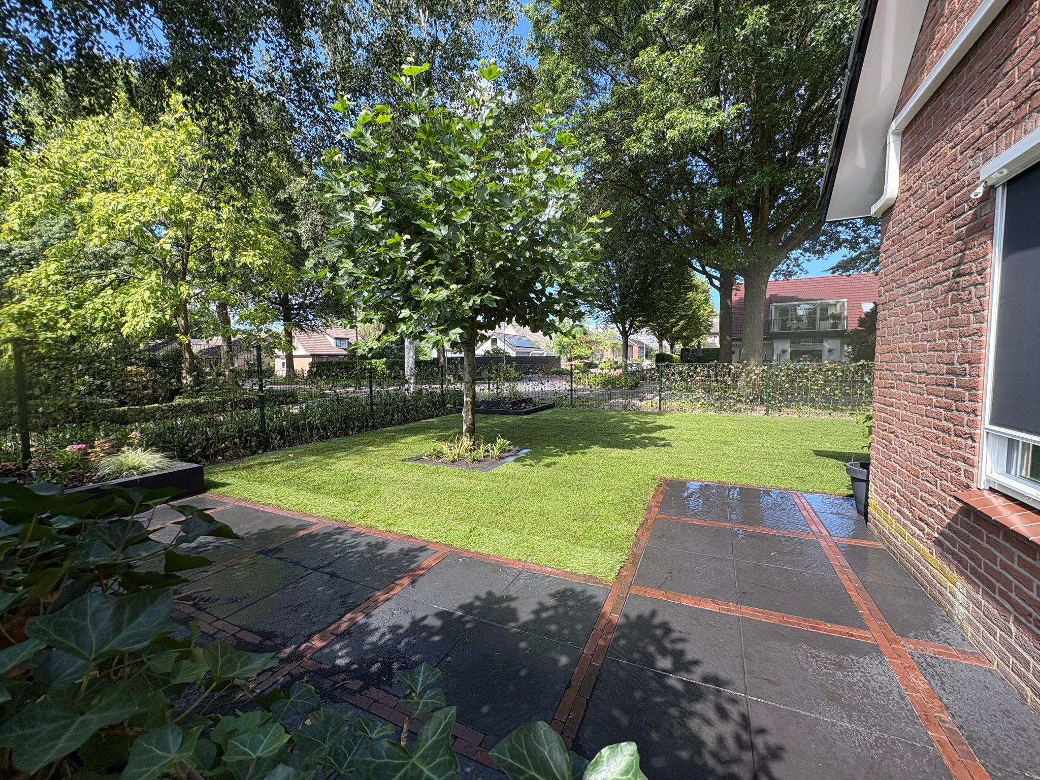Tuin na aanleg — strak nieuw gazon langs het terras door Franke Tuinen