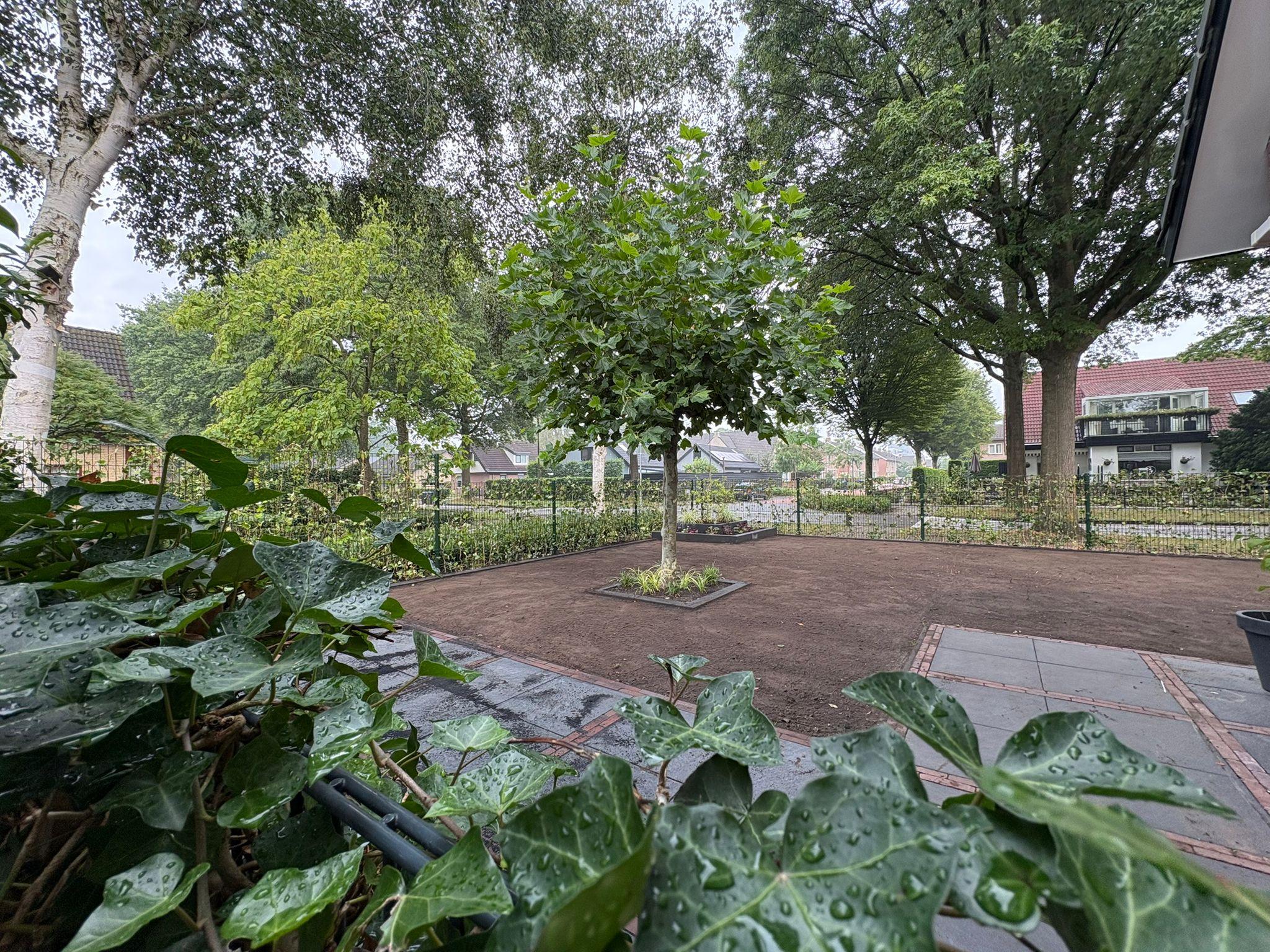 Tuin vóór aanleg — kale ondergrond na het verwijderen van het oude gazon