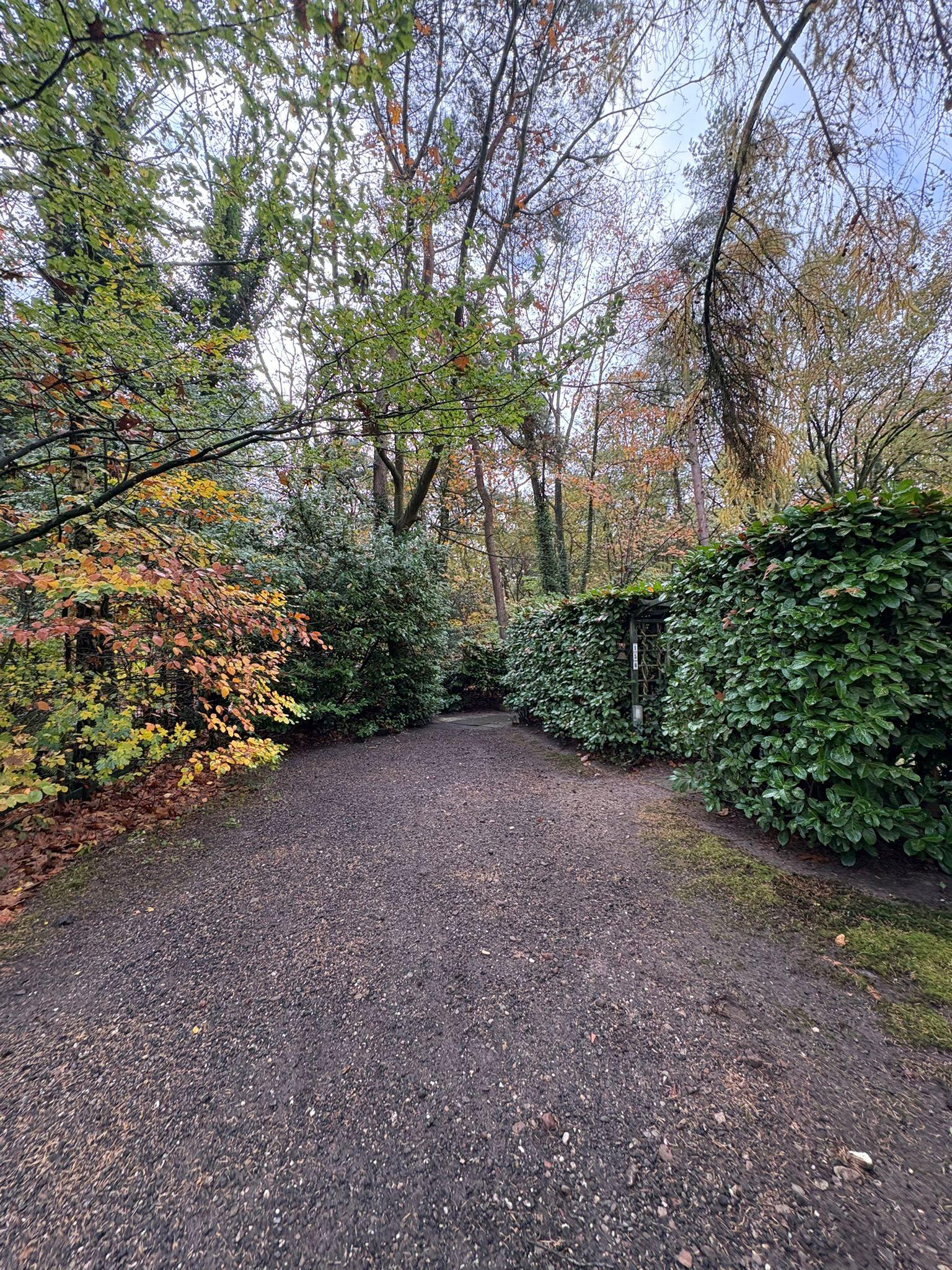 Bladerpad in de tuin vóór onderhoud — ander aanzicht