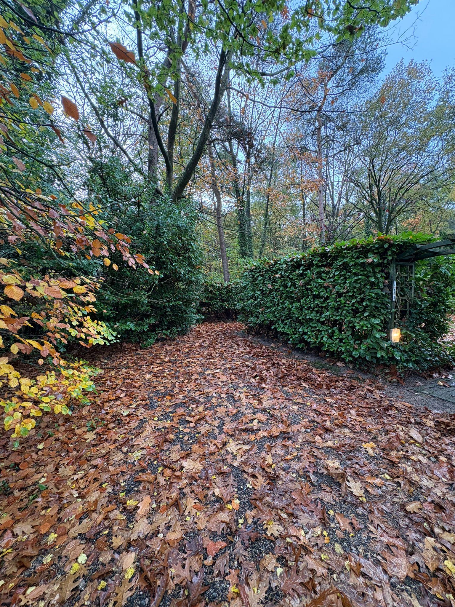 Voor Terrasreiniging